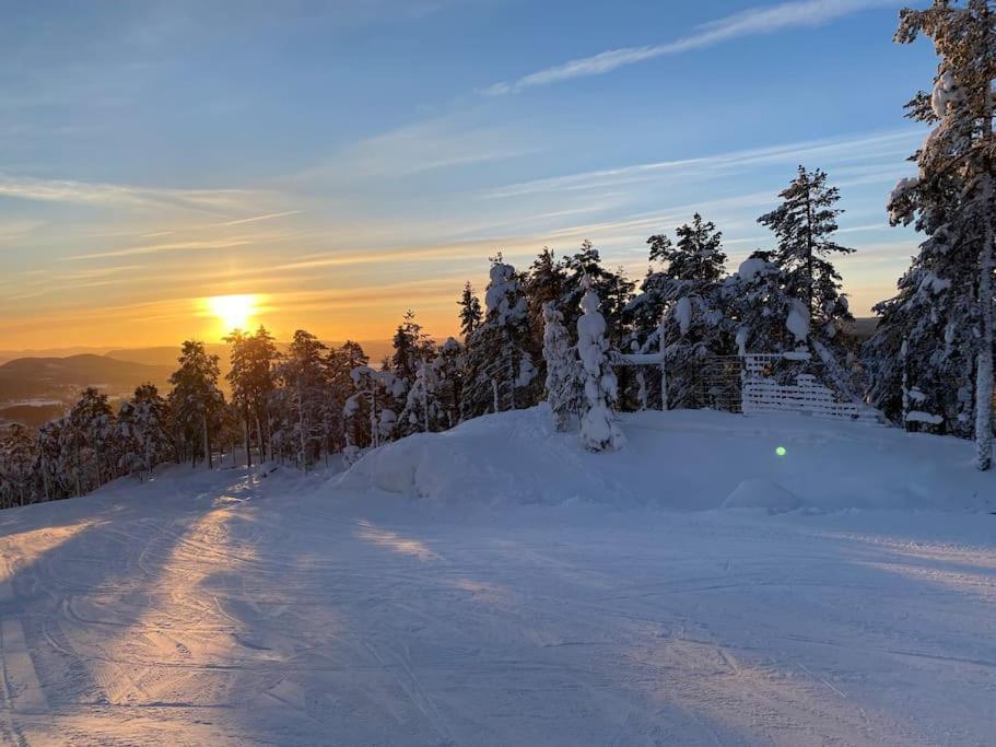 Järvsö Modern Stuga Med Ski Lodge Kaensla מראה חיצוני תמונה